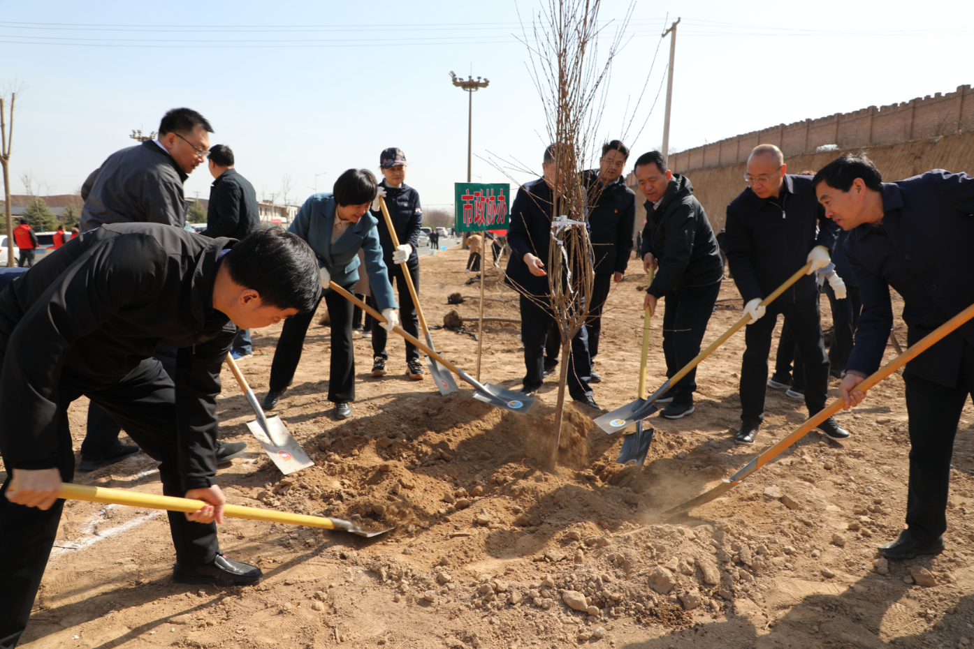 市政協(xié)機關(guān)積極參加義務(wù)植樹活動